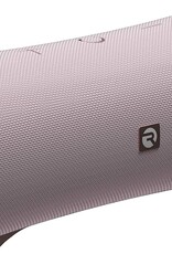 RayCon Fitness Speaker