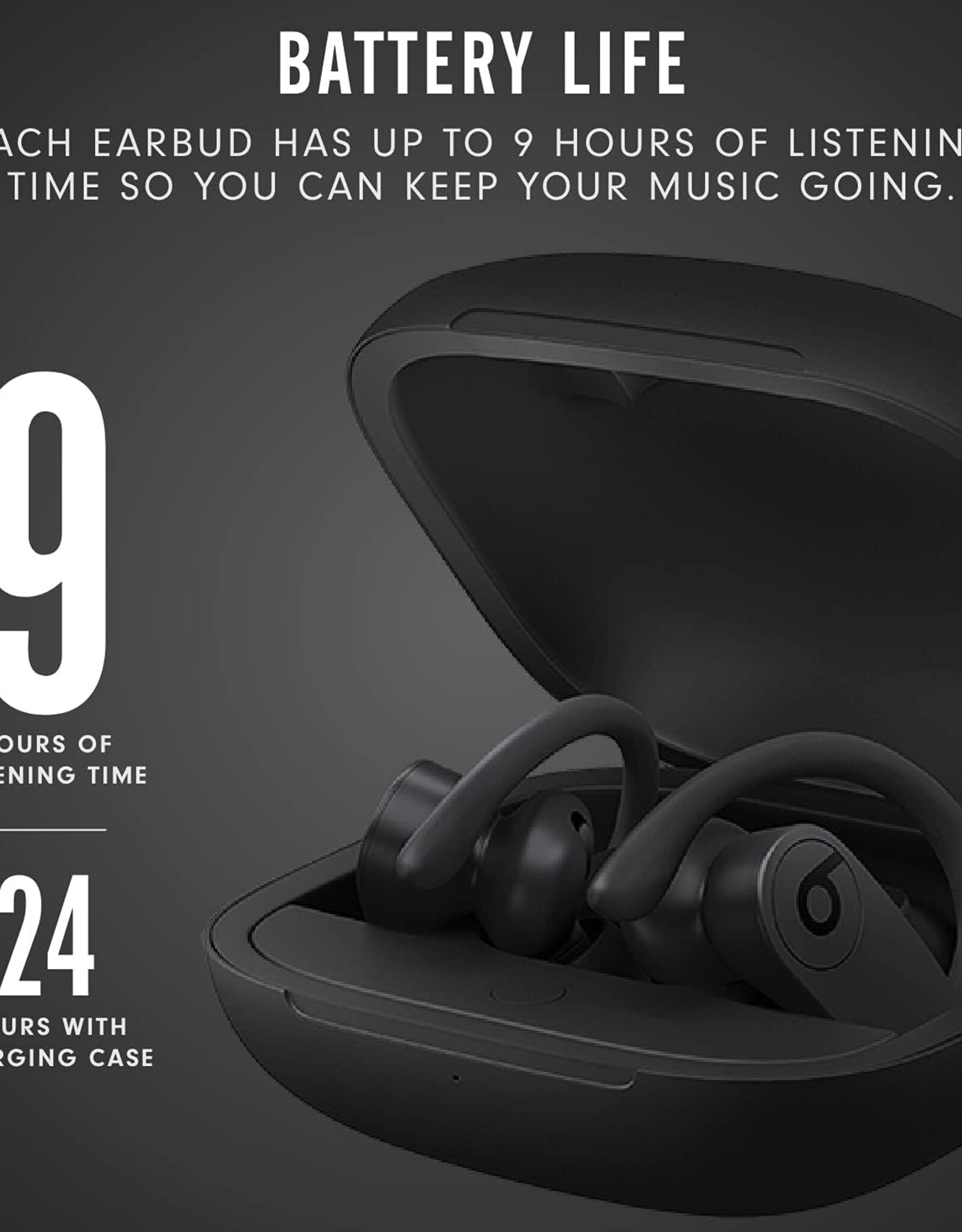 Beats Beats Powerbeats Pro Wireless Earbuds