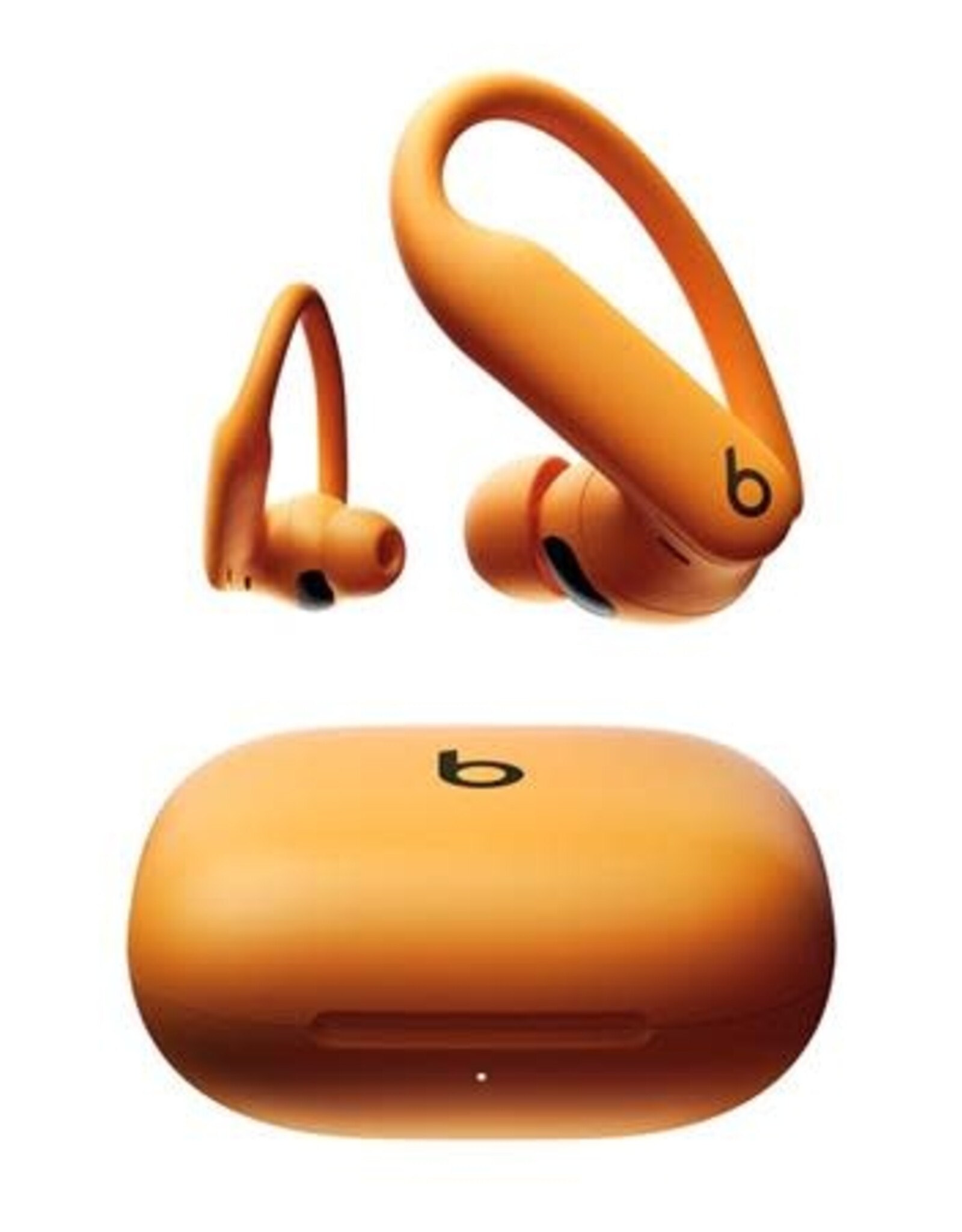 Beats PowerBeats Pro 2 Wireless Noise Canceling Earbuds