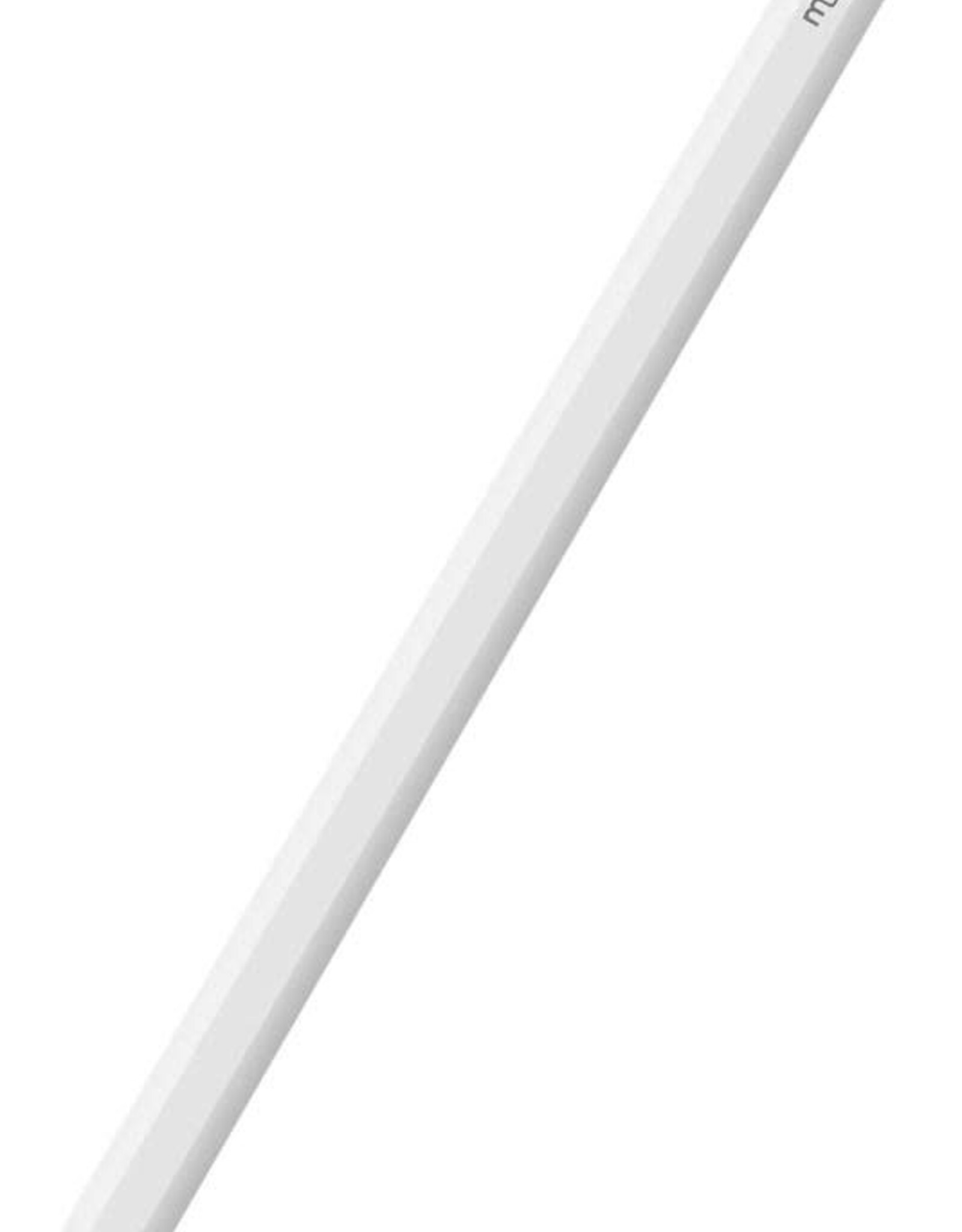 IPad Tablet Pen (Wireless Charging)