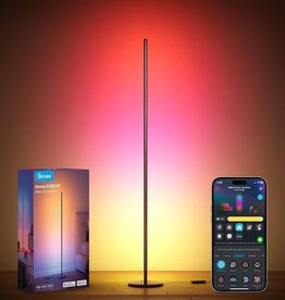 Govee RGBIC Floor Lamp Basic