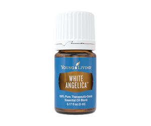 Buy White Angelica YL 5 ml Essential Oil for Natural Healing Betty s Natural Foods Betty s Natural Foods LLC