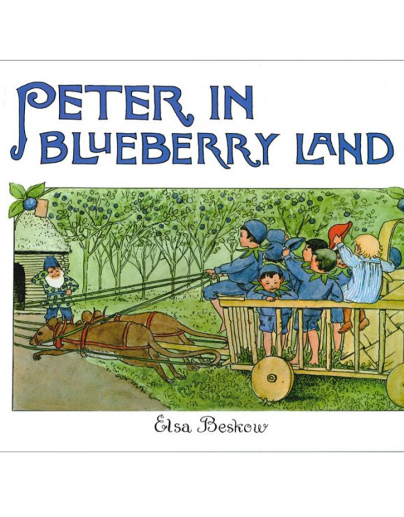 PETER IN BLUEBERRY LAND MINI BOOK