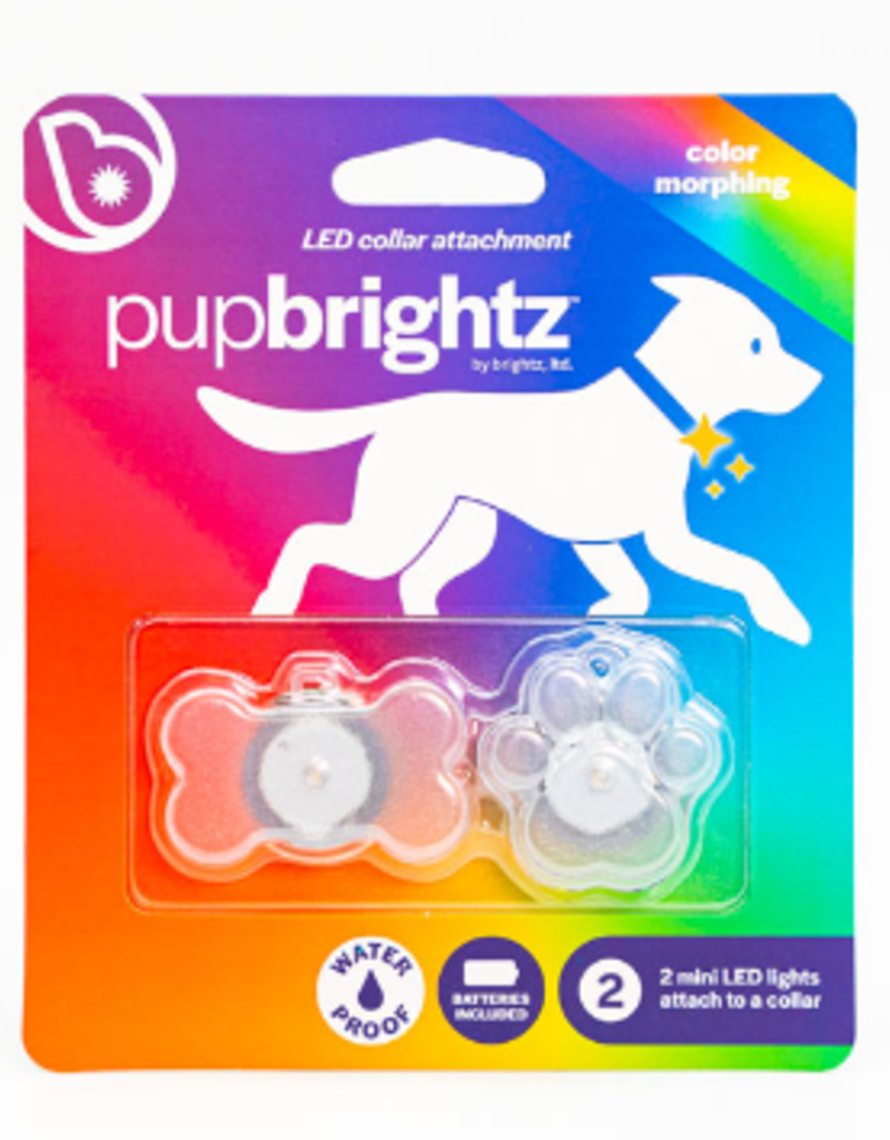BIKE BRIGHTZ PUP BRIGHTZ