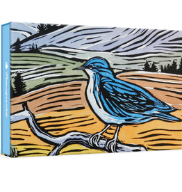 MOLLY HASHIMOTO: MOUNTAIN BLUEBIRD