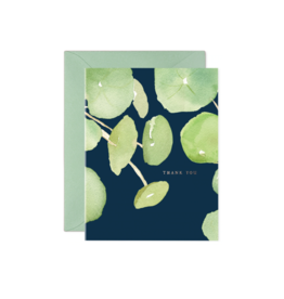 PANCAKE PLANT THANK YOU CC