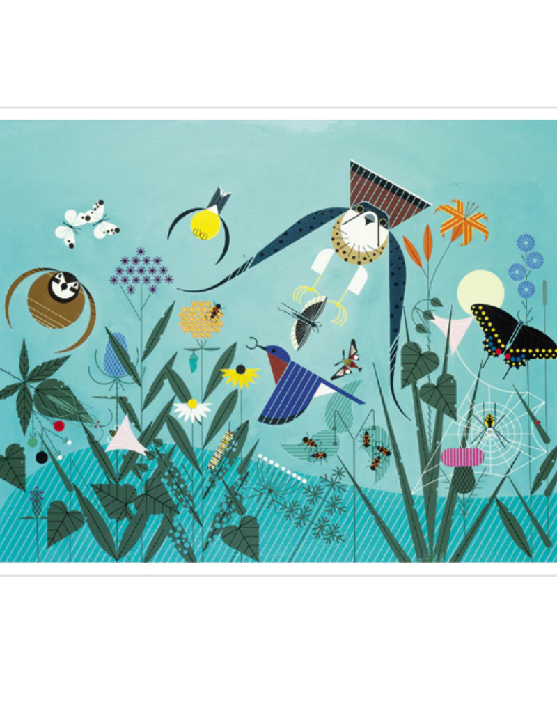 CHARLEY HARPER SUMMER CC