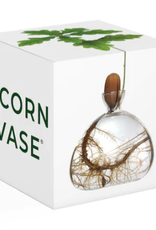 CLEAR ACORN VASE