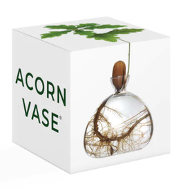 CLEAR ACORN VASE
