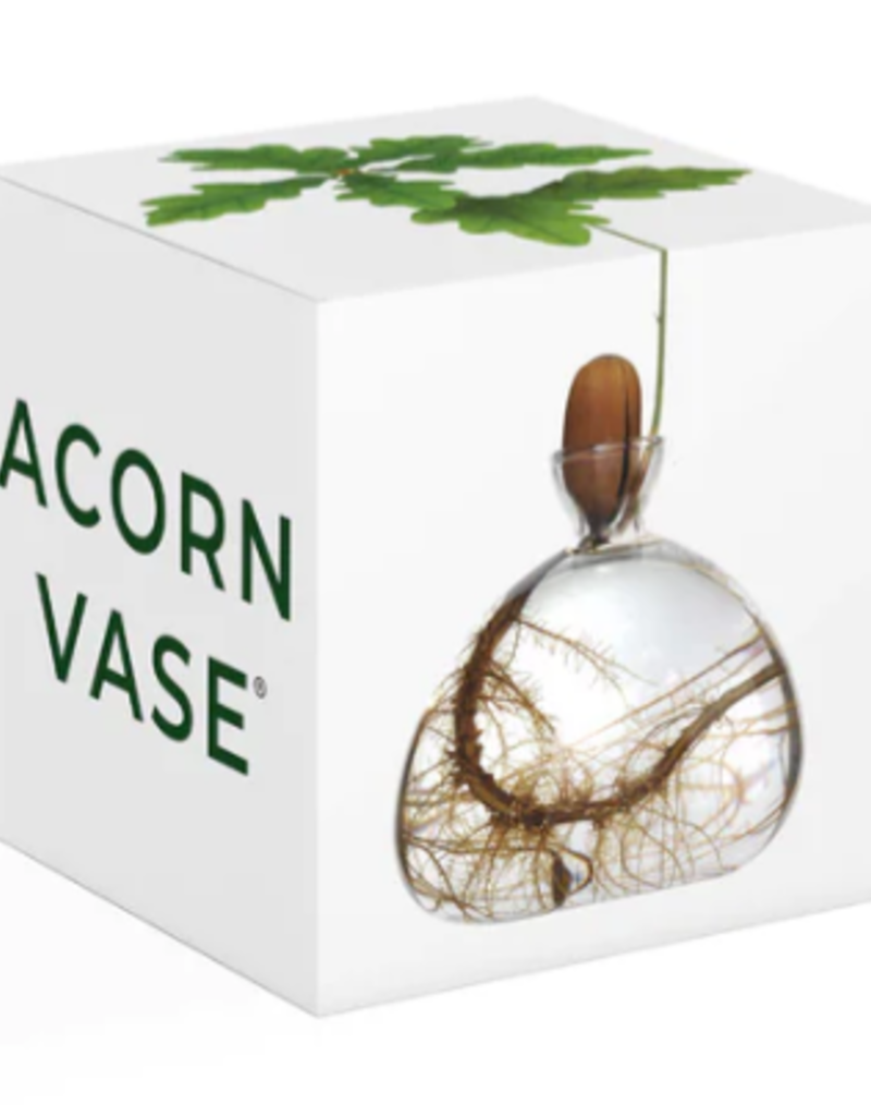 CLEAR ACORN VASE