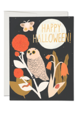 SPOOKY NIGHT HALLOWEEN CC
