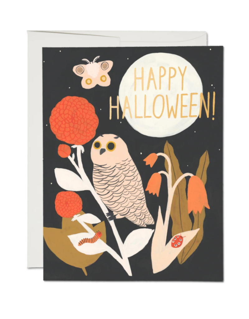 SPOOKY NIGHT HALLOWEEN CC