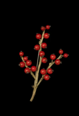 WINTERBERRY BROOCH