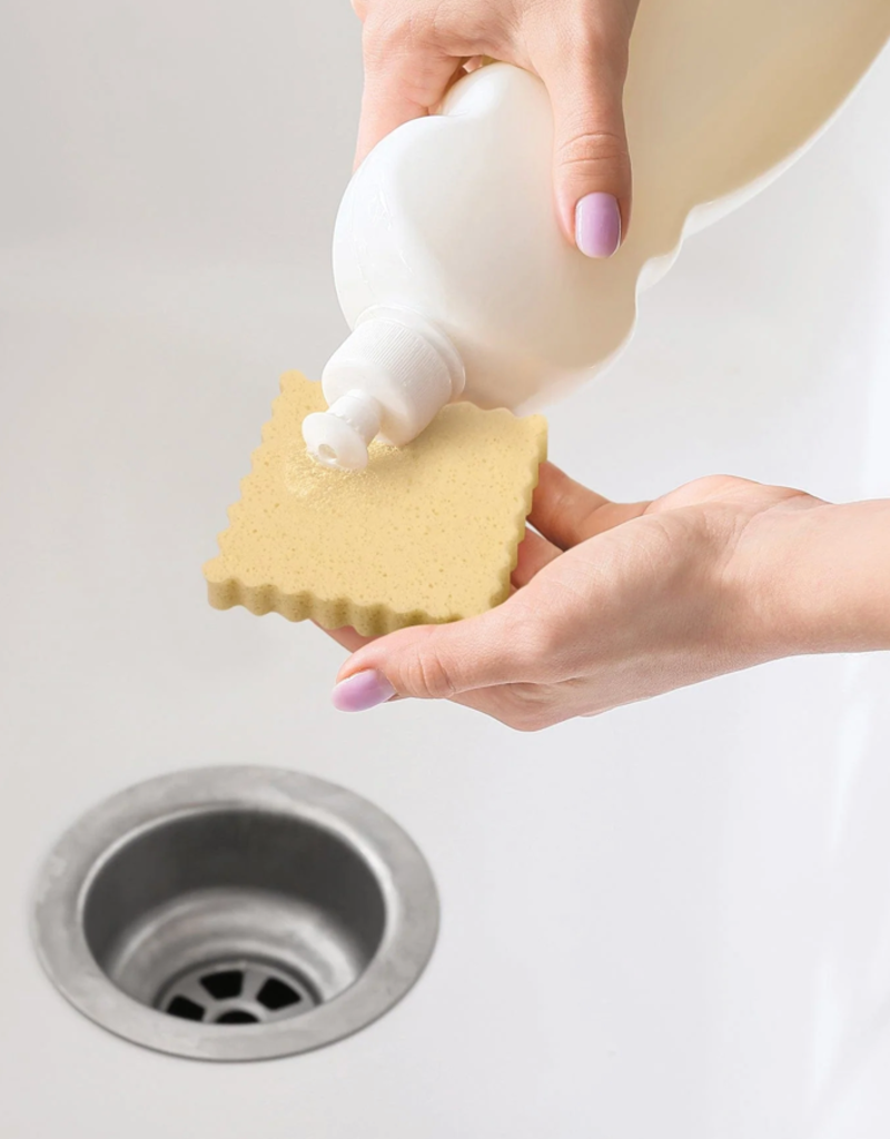 SPONGIOLI  SPONGES