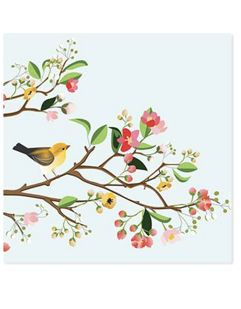 BIRDS OF SPRING POP UP CC