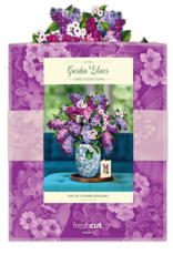 GRANDE LILACS