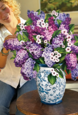 FRESHCUT PAPER GRANDE LILACS