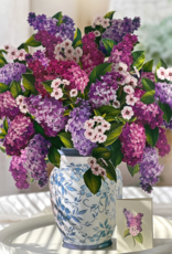 GRANDE LILACS