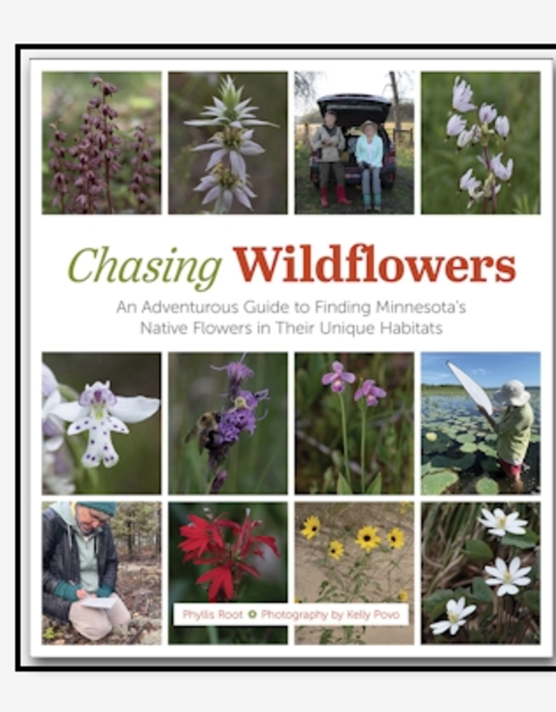 CHASING WILDFLOWERS