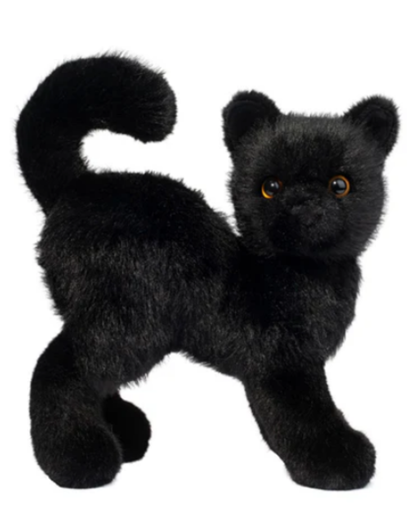SCAREDY BLACK CAT