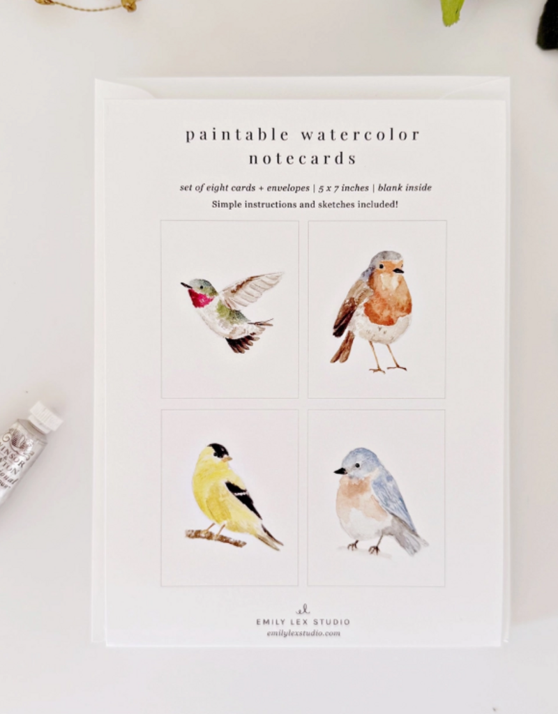 BACKYARD BIRDS PAINTABLE NOTECARDS