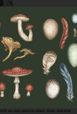 THE COLLECTOR'S CURIO STICKER TREASURY