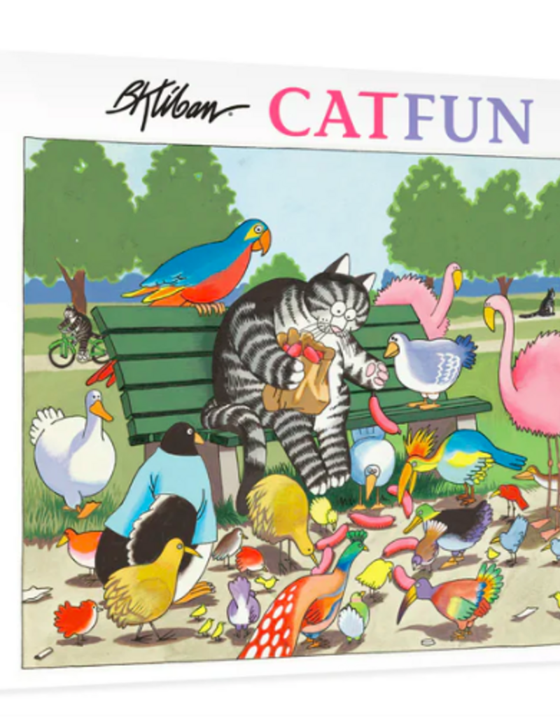 B.KLIBAN: CATFUN BOXED NOTECARDS