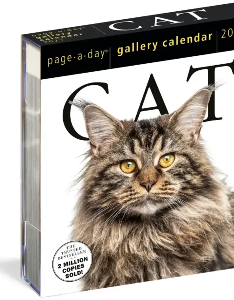 2027 PAGE A DAY CAT CALENDAR
