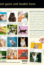 2027 PAGE A DAY CAT CALENDAR