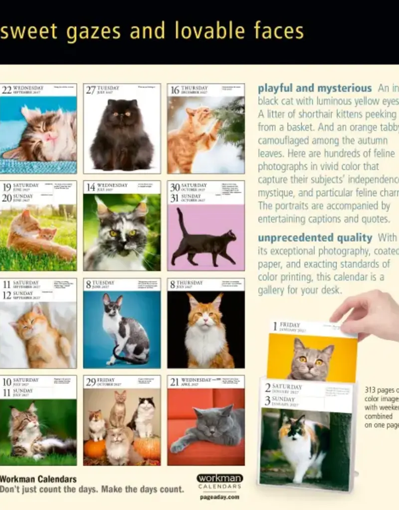 2027 PAGE A DAY CAT CALENDAR