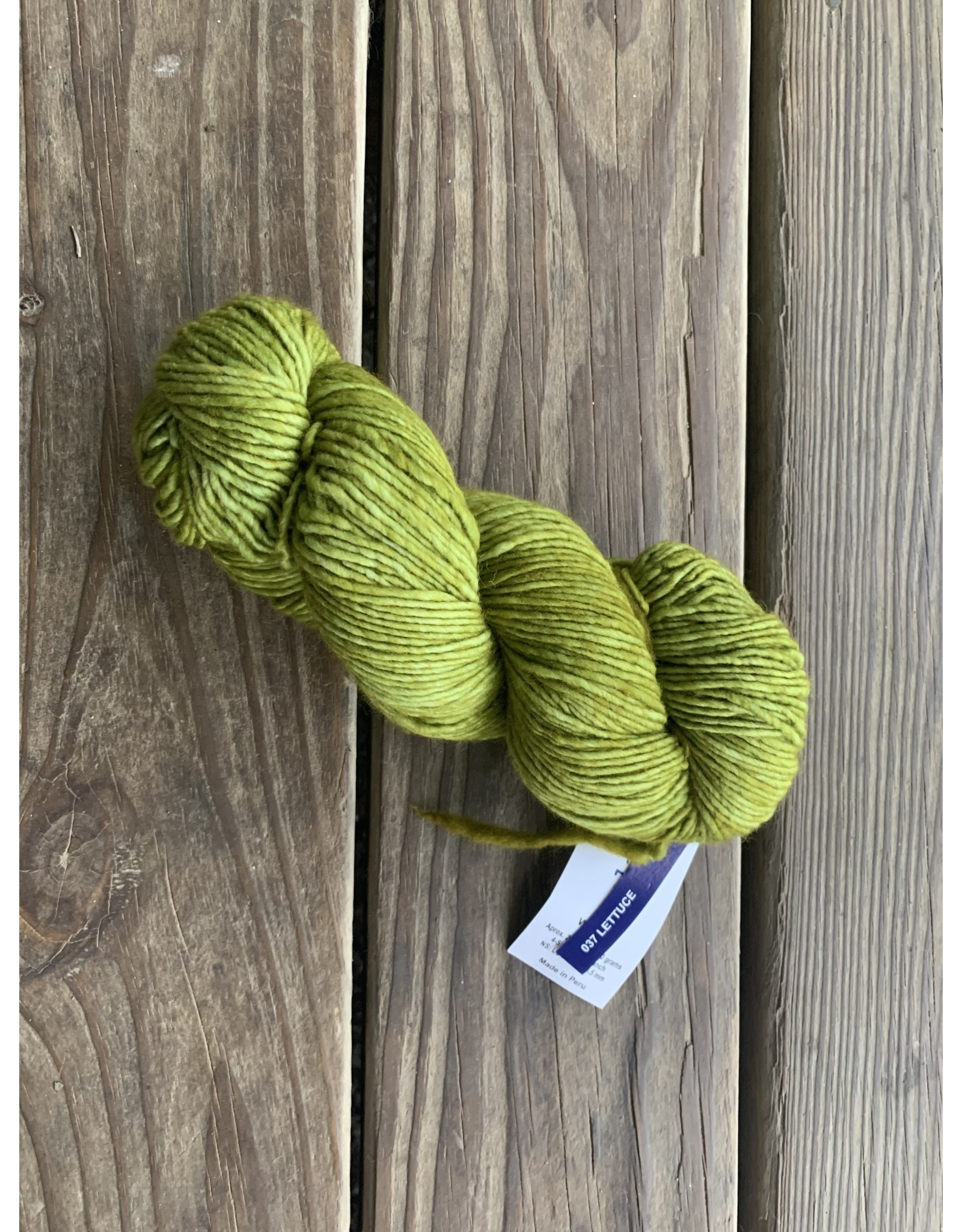 Malabrigo Worsted Merino MM037 Lettuce