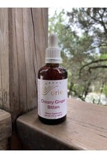 CHICORY/GINGER BITTERS 60 ml