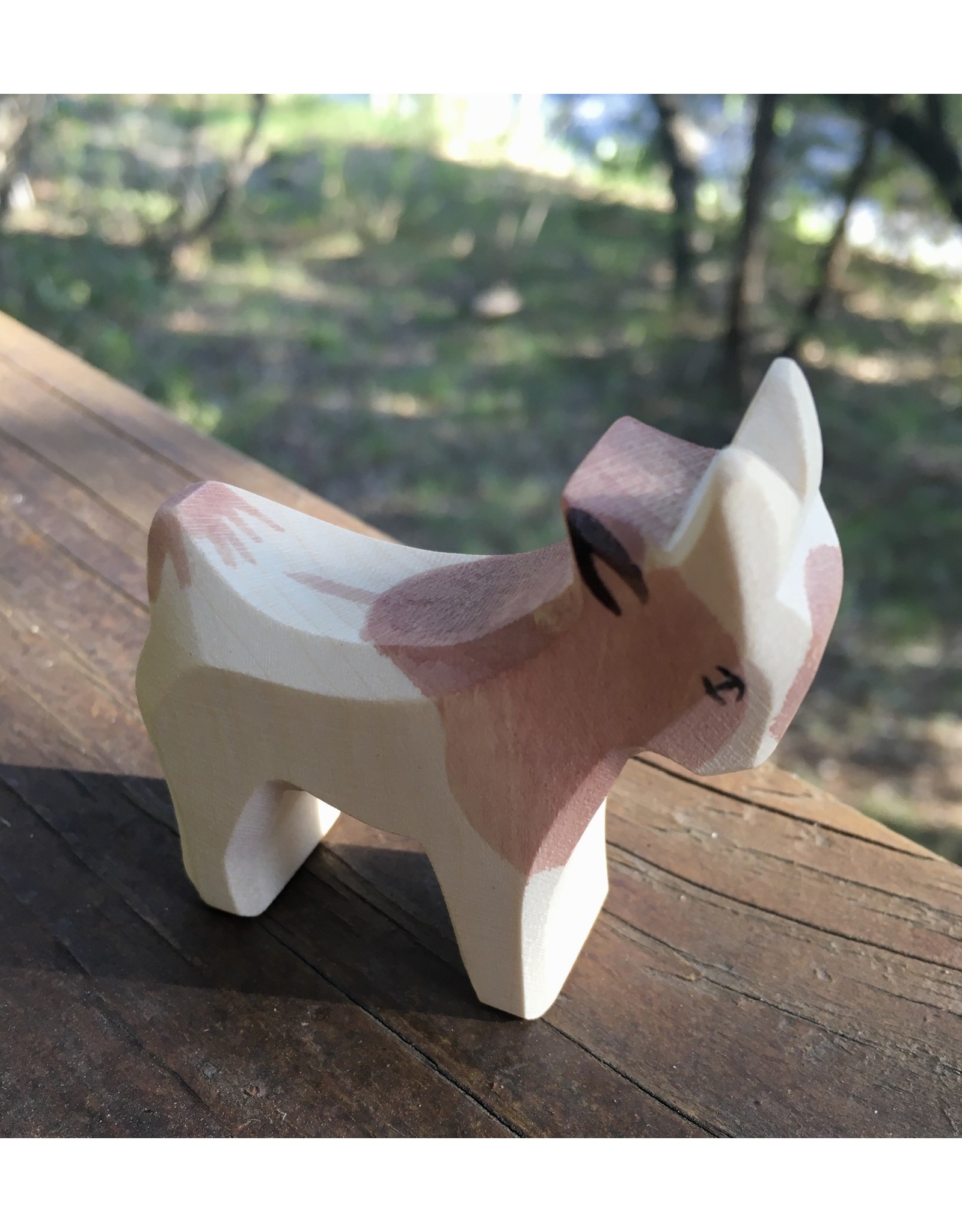 Goat Kid, Standing - Ostheimer