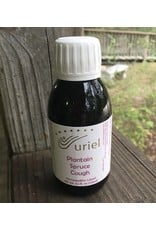 Plantain Spruce Cough Syrup large 125ml