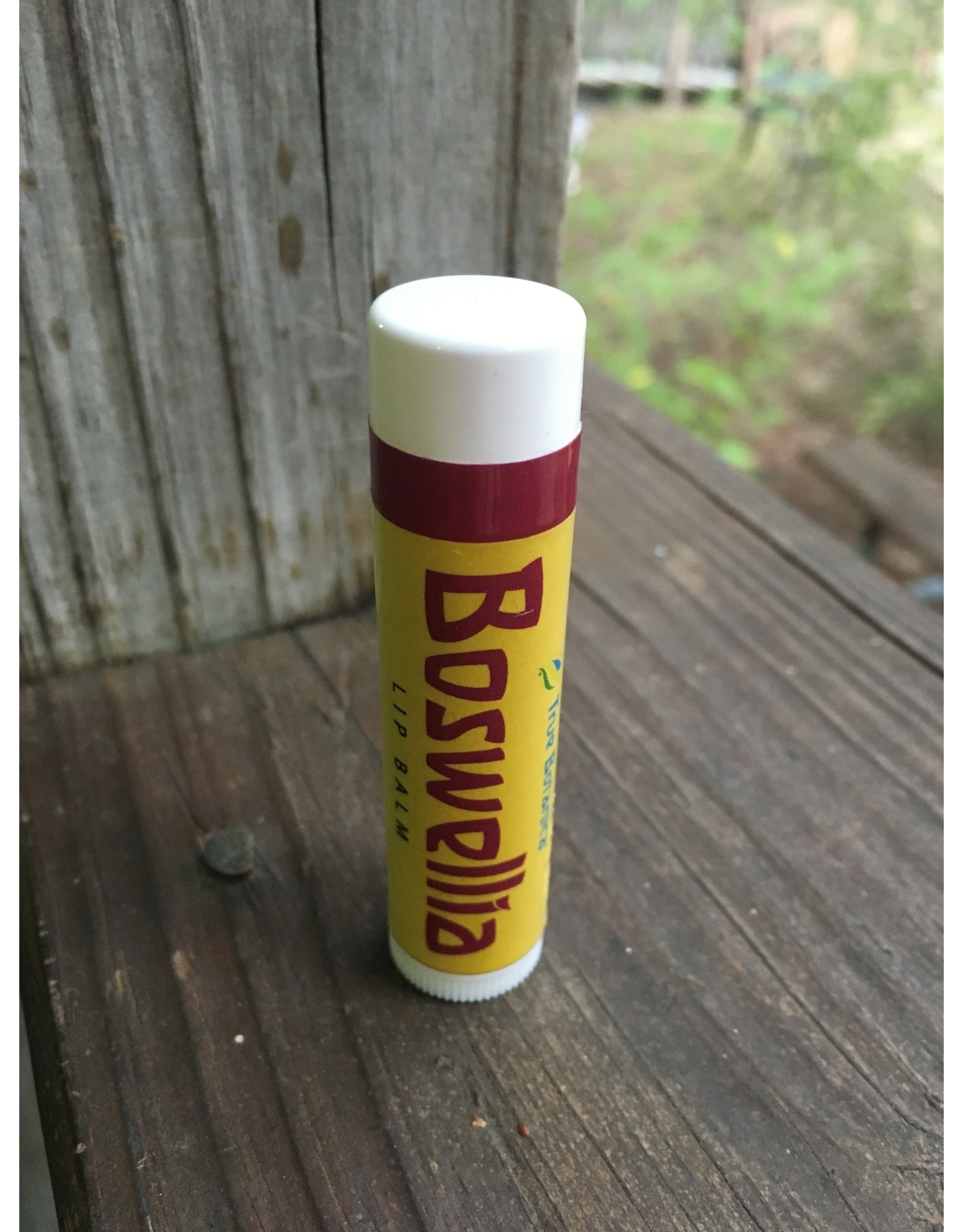 Boswellia Lip Balm by True Botanica