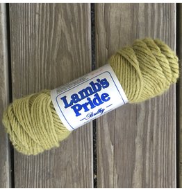 LAMBS PRIDE Bulky Fresh Moss BM171