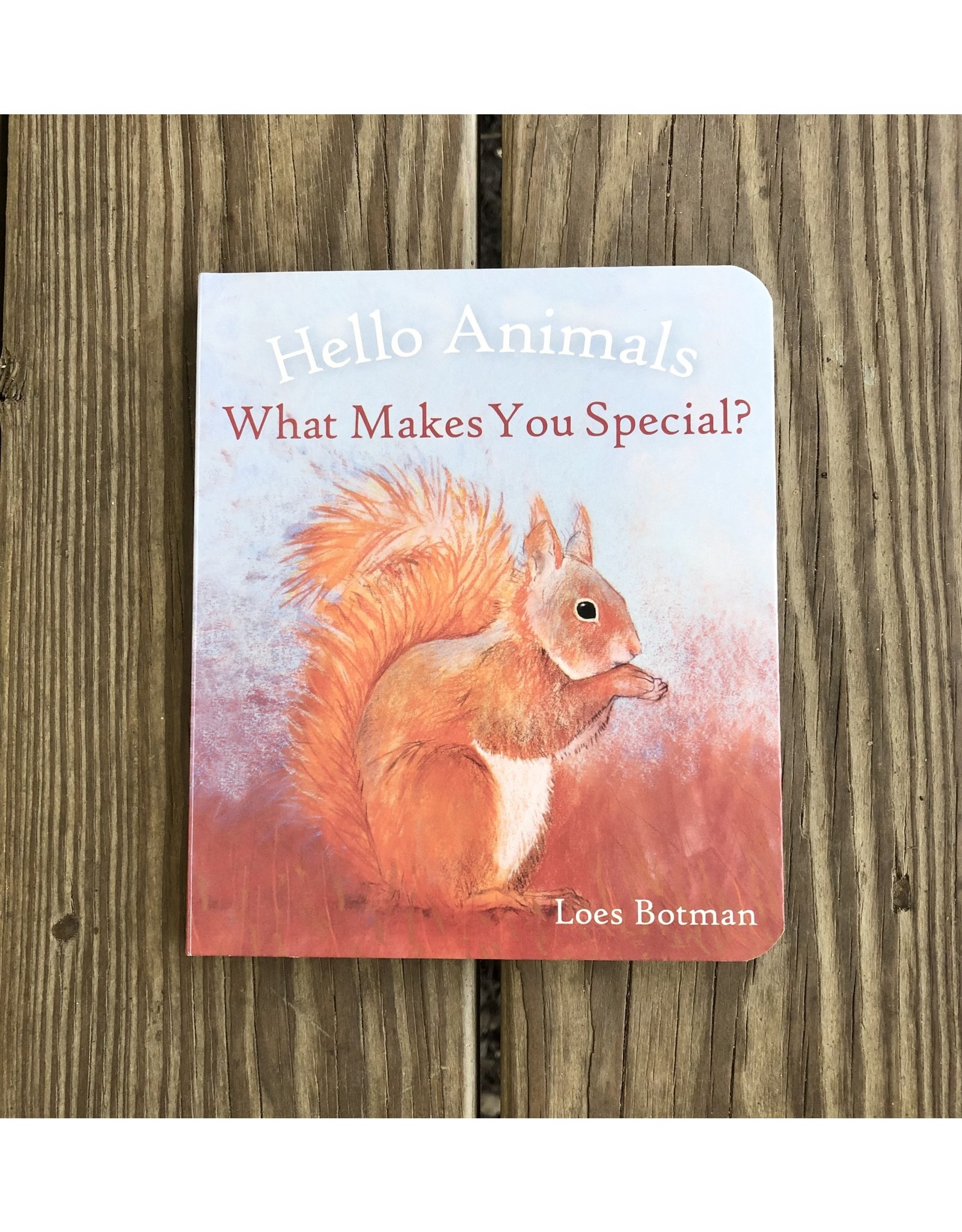 Hello Animals What Makes You Special