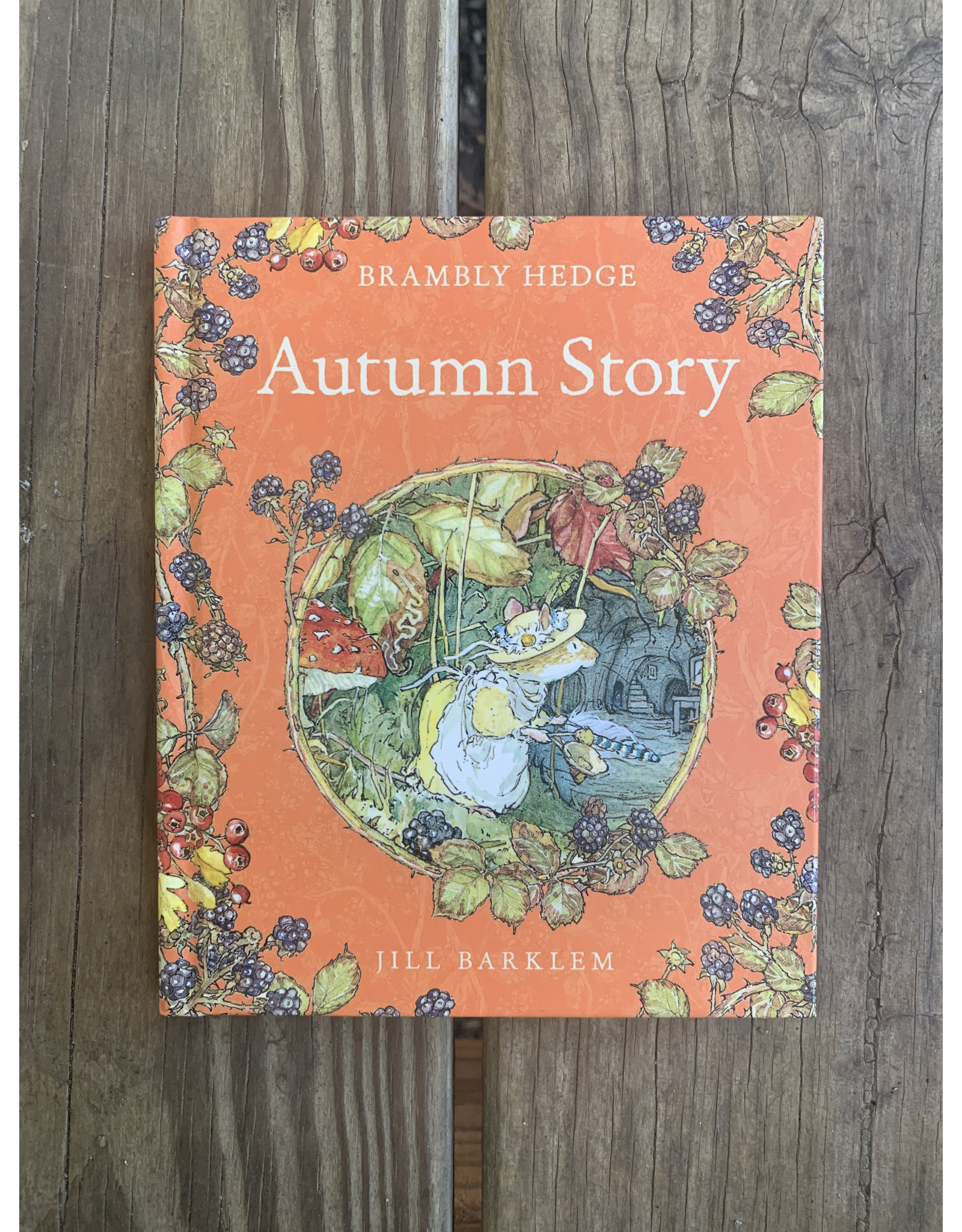 Brambly Hedge - Autumn Story