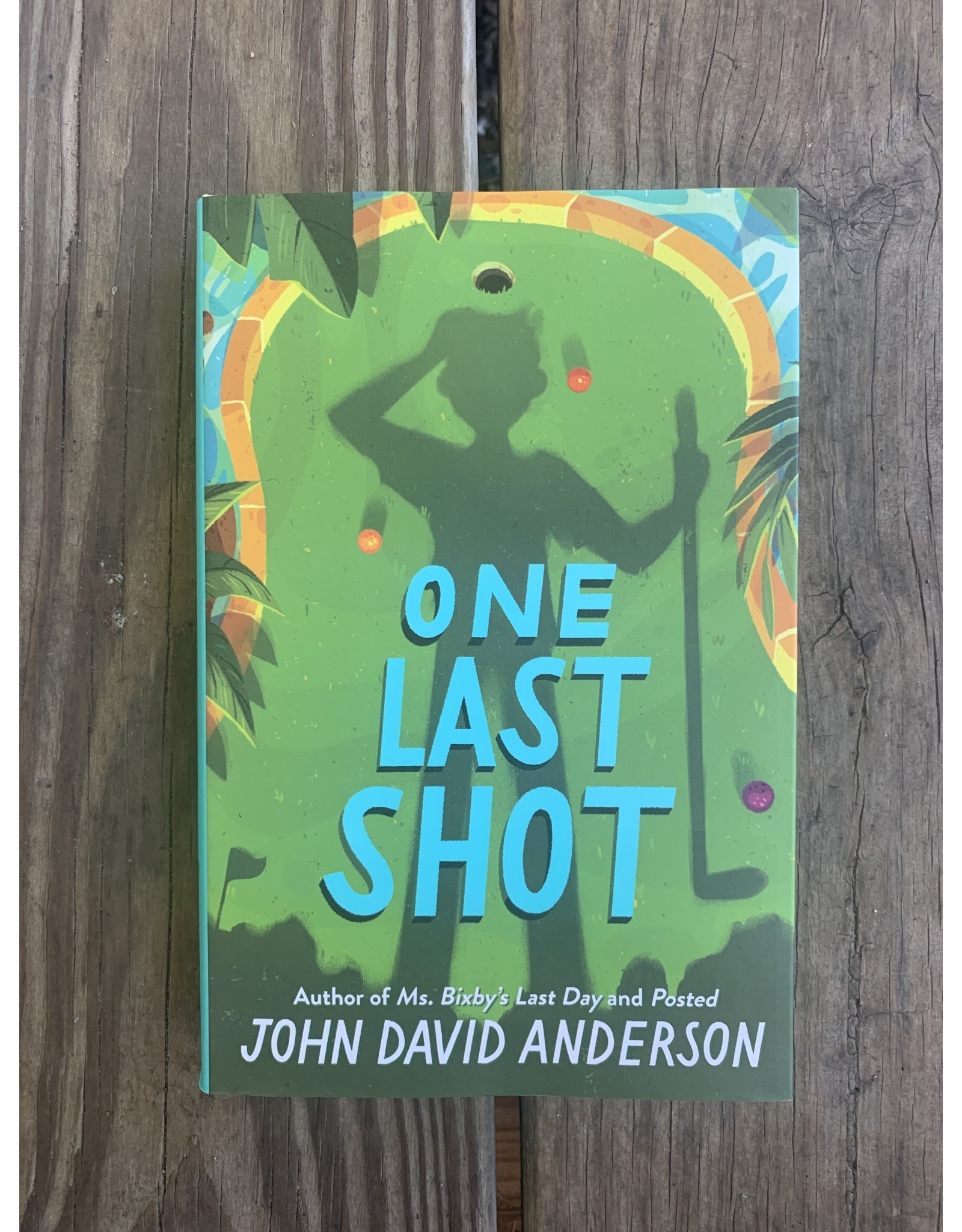 One Last Shot by John David Anderson