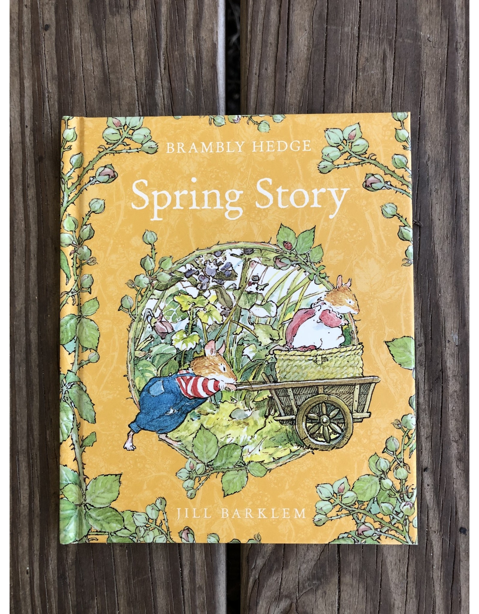 Spring Story - Brambly Hedge