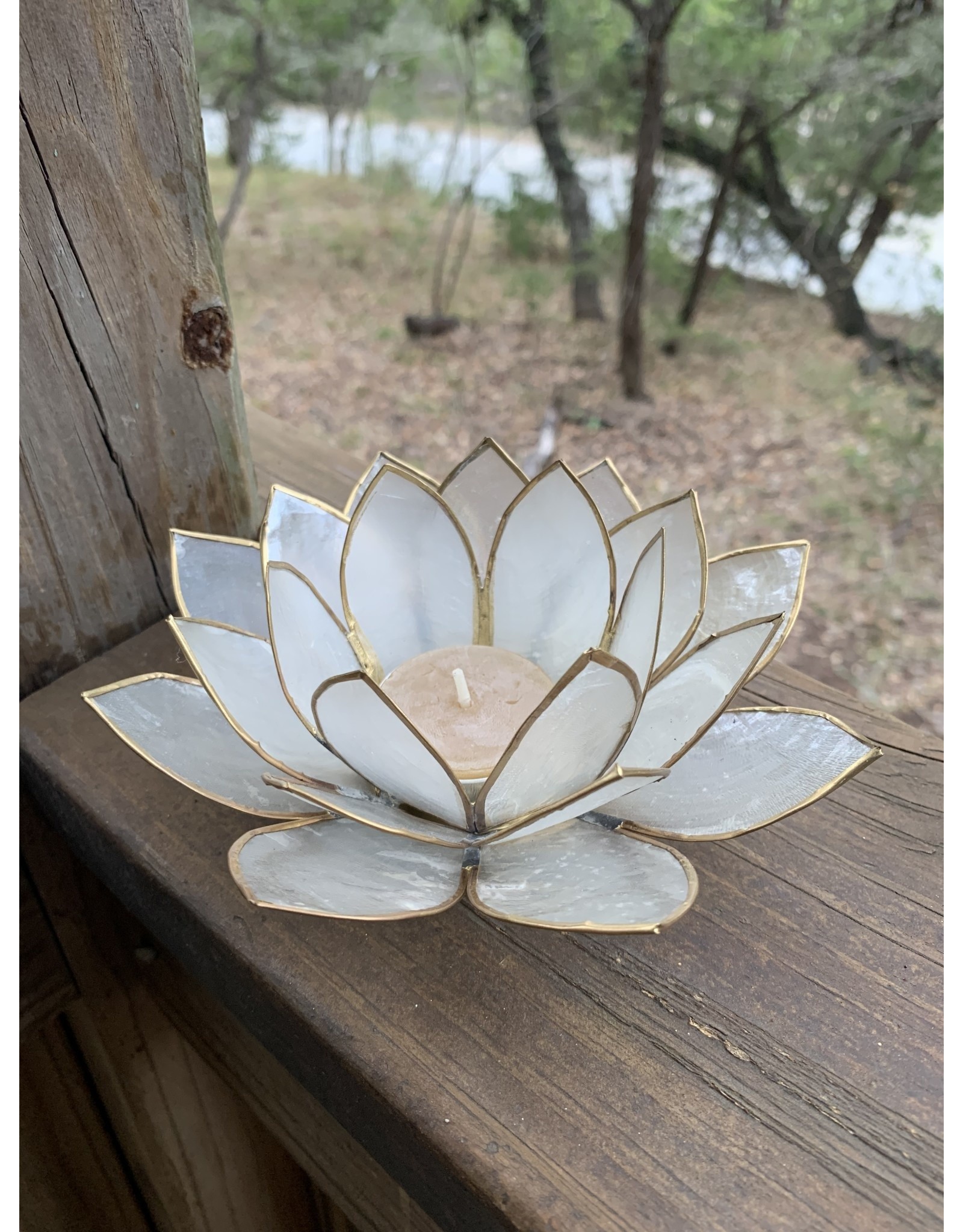 White Lotus Capiz Shell Candle Holder