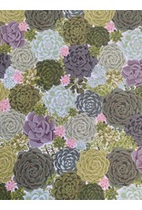 Paper Source Succulent Gift Wrap 18x30. local pick up only