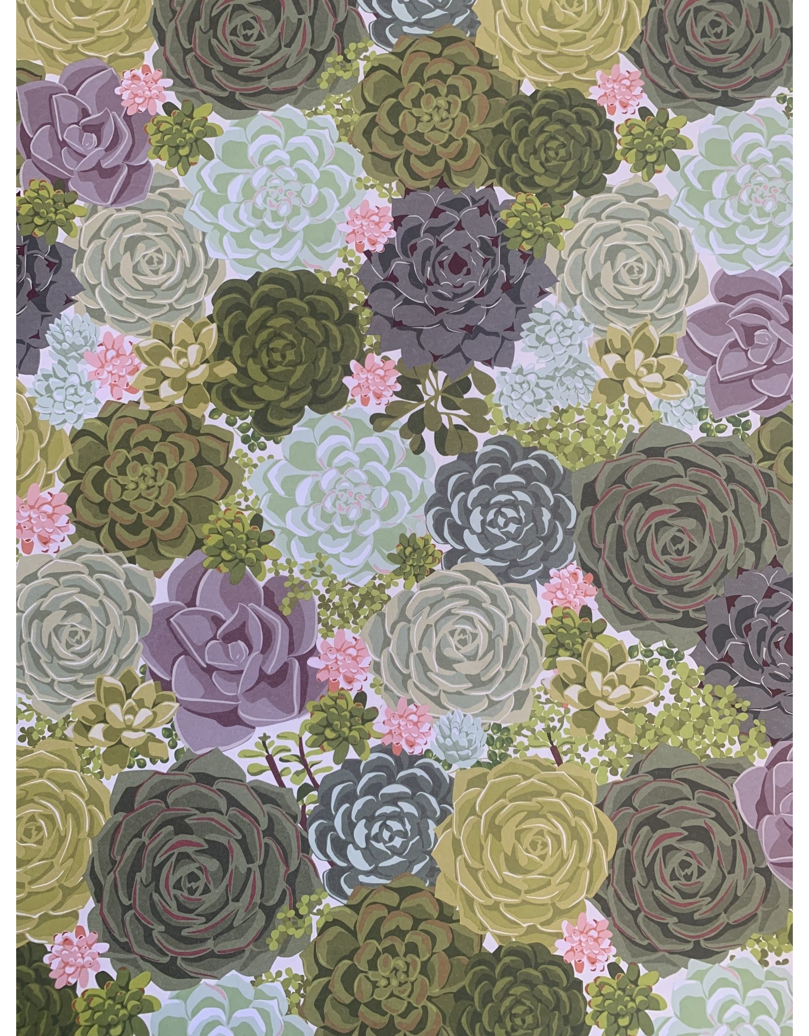 Paper Source Succulent Gift Wrap 18x30. local pick up only