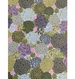 Paper Source Succulent Gift Wrap 18x30. local pick up only