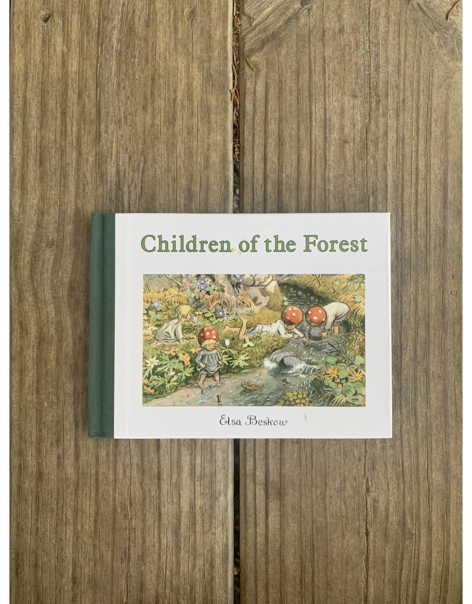 Children of the Forest - mini