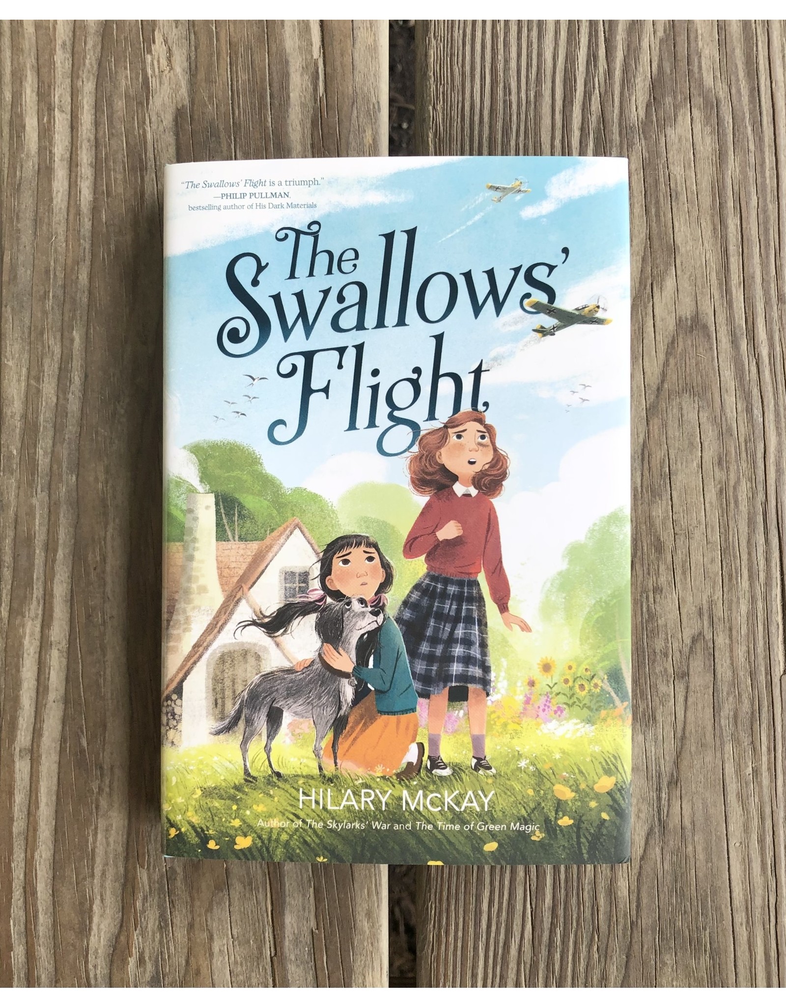 Swallow's Flight - hbk