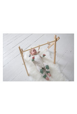 Timber Activity Gym