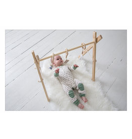 Timber Activity Gym