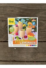 Fresh Lemonade or Smoothie Set, Wooden. Erzi