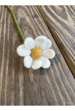 White Felt Anemone